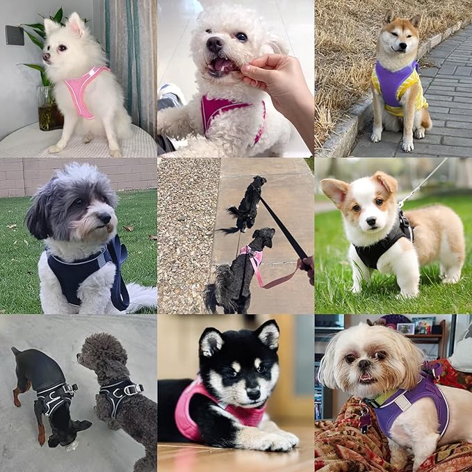 Dog Harness with Leash Set, No-Pull Step-in Reflective Pet Harness with 1 Leash Clips, Adjustable Soft Padded Easy Walk Dog Vest for Small Medium Large Dogs, Cats(Rose Red, Large)