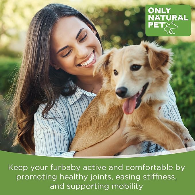 Only Natural Pet Hemp Hip & Joint Support for Dogs - Supplement for Mobility Wellness Pain Relief Healthy Inflammatory & Bone Stiffness - Chews w/Fatty Acid Blend Mussels & Turmeric - 60-Ct (2-Packs)