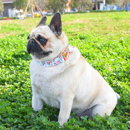 Metal Buckle Dog Collar, Durable Adjustable Dog Collar Soft for Small Medium Large Dogs (S(10-14in), Flower2)