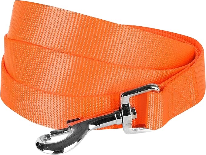 Blueberry Pet Essentials Florence Orange Dog Leash for X-Small -5' * 3/8" Dogs | Heavy Duty Nylon Lead | Lightweight Puppy & Cat Leash for Walking & Training