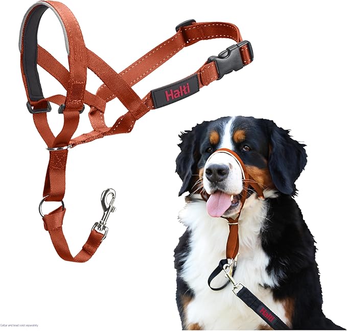 Halti Headcollar - Stop Your Dog Pulling on The Leash. Adjustable, Reflective and Lightweight, with Padded Nose Band. Dog Training Anti-Pull Collar for Large Dogs (Size 4, Burnt Orange)