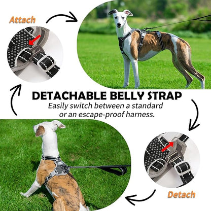 Huntboo Escape Proof Dog Harness – No Pull, No Slip, Fully Reflective, Adjustable 7-Point Design for Small, Medium, and Large Dogs – Lightweight for Outdoor Training & Hiking (Black, S)