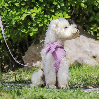 Didog Cute Small Dog Harness Collar and Leash Set with Bowtie, Breathable Soft Mesh Padded Puppy Harness, Dog Harness for Small Dogs Daily Walks Parties, Holiday Gatherings & Gifts, Purple, S