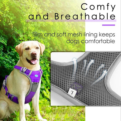 ThinkPet No Pull Harness Set Breathable Sport Harness with Handle - Reflective Padded Dog Safety Vest with Reflective Neon Dog Leash XL Harness Leash Pack Purple