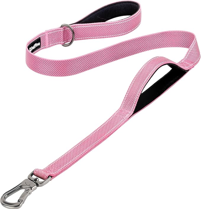 PetiFine 4FT Heavy Duty Dog Leash with Soft Padded Double Handle, Durable Strong Clasp Dog Leashes, Reflective Nylon Walking Lead for Large,Medium,Small Breed Dogs, Pink