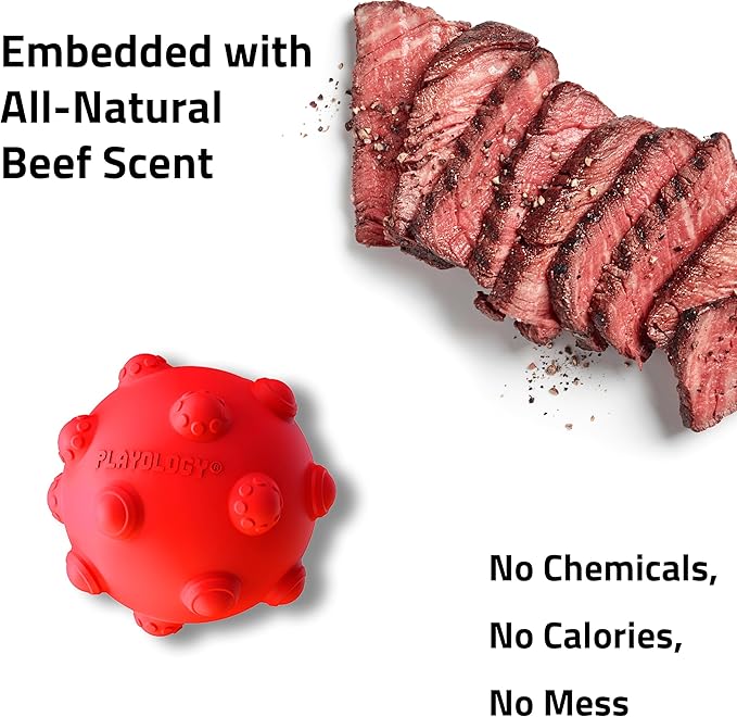 Playology Dog Toys | Puppy Toy Teething Ball Designed for Young & Active Dogs | Medium Beef Scented Toy Made from Non Toxic Materials