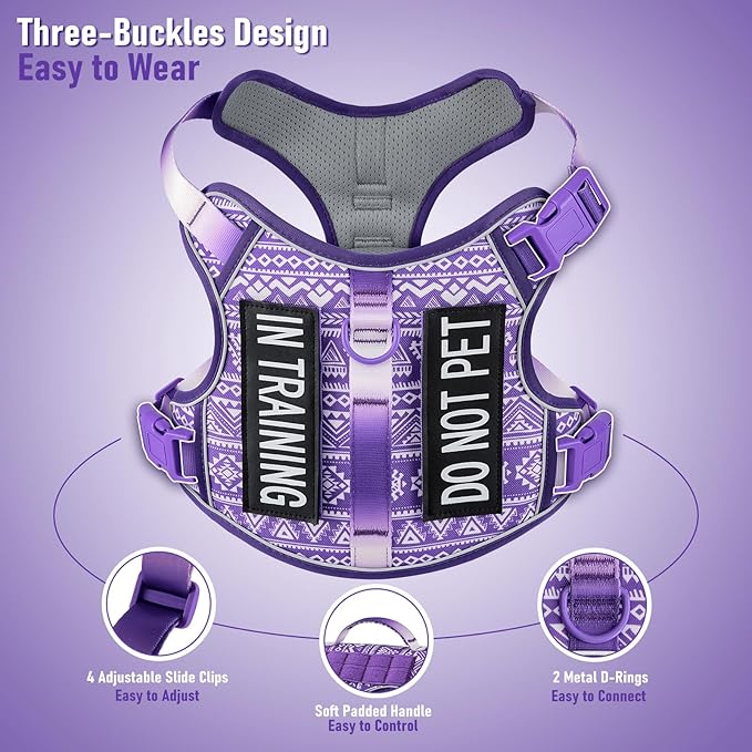 Dog Harness for X-Small Dog Breed, Light Pet Vest Harness with 2 Leash Clips and 3 Buckles, Easy to Wear, Adjustable Reflective Soft Padded, Boston Terrier, Beagle, Poodles, XS