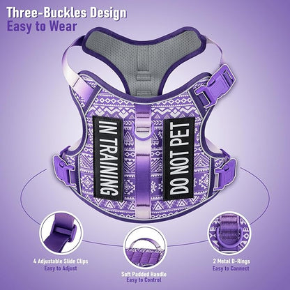 Dog Harness for X-Small Dog Breed, Light Pet Vest Harness with 2 Leash Clips and 3 Buckles, Easy to Wear, Adjustable Reflective Soft Padded, Boston Terrier, Beagle, Poodles, XS