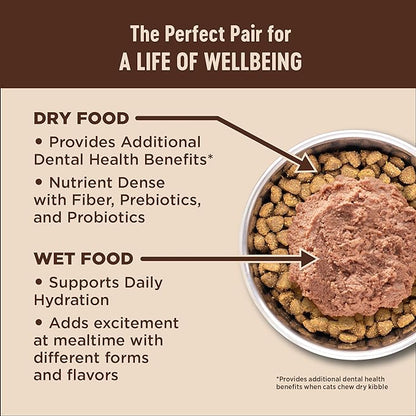Wellness CORE Pate Kitten Wet Cat Food, Natural, Protein-Rich, Grain Free, 3 Ounce, 12 Pack (Chicken & Salmon)