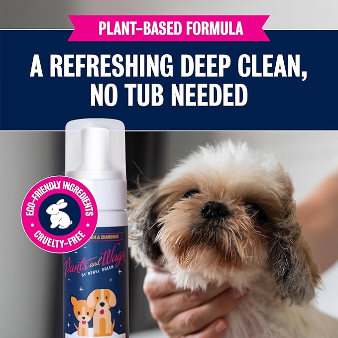 Pants and Wags by Rebel Green Bubbles & Suds Waterless Foam Pet Wash - Orange Blossom & Chamomile - Hypoallergenic - No Dyes or Perfumes - 8 fl oz - 2-Pack