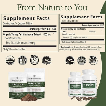 Real Mushrooms Turkey Tail Mushroom Powder – Organic Turkey Tail Extract from – for Wellness, Gut Harmony, & Energy Support – Vegan, Non-GMO, No Fillers – 100 Servings Functional Mushroom Supplement