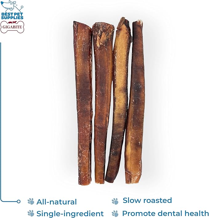 GigaBite Single Ingredient All Natural Free Range Bully Treats and Chews - Bully Sticks/Bladder Sticks/Beef Esophagus by Best Pet Supplies - Bully Sticks (Monstrous 12"), Pack of 4