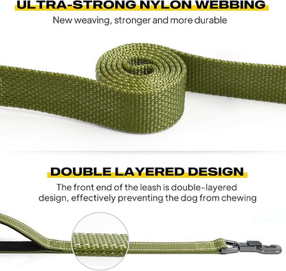 Fida 6 FT Heavy Duty Dog Leash with 2 Comfortable Padded Handles, Traffic Handle & Advanced Easy Snap Hook, Reflective Walking Lead for Large, Medium & Small Breed, Green