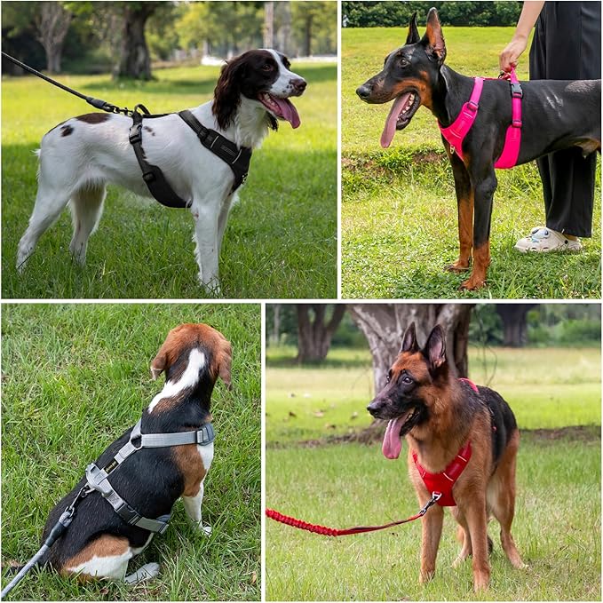 Plutus Pet No Pull Dog Harness, Reflective Adjustable Dog Vest Harness with Handle, Escape Proof, Soft Padded for Small Medium Large Dogs (Hot Pink, XS)