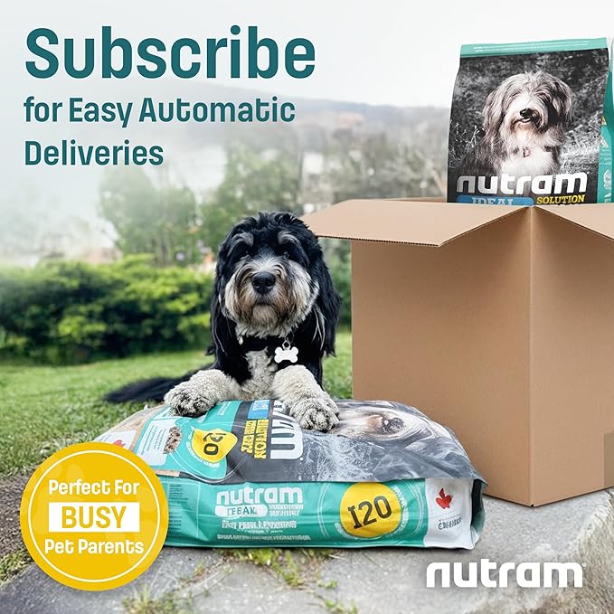 Nutram I14 Puppy Dog Food with Lamb & Brown Rice - Skin, Coat & Sensitive Stomach Dog Food with Pumpkin, Omega-3 Rich Salmon Oil & Flaxseed for Shiny Coat & Immunity - Chicken Free Puppy Food (4.4 lb)