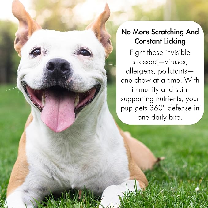 Allergy Relief for Dogs - Dog Itchy Skin & Dog Skin Allergies Treatment Chews with Natural Antihistamine, Colostrum, Salmon Oil, Probiotics for Seasonal Allergies Dogs - 120 Beef Flavor Soft Chews