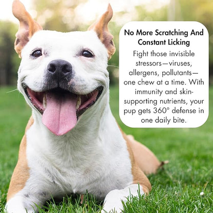Allergy Relief for Dogs - Dog Itchy Skin & Dog Skin Allergies Treatment Chews with Natural Antihistamine, Colostrum, Salmon Oil, Probiotics for Seasonal Allergies Dogs - 120 Beef Flavor Soft Chews