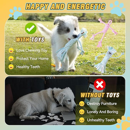 PPTAIO Dog Rope Toys with 18 pcs for Teething, Entertainment & Interaction, Dog Chew Toys, Training Tug Balls and Squeaky Toys for Medium&Small Puppies.