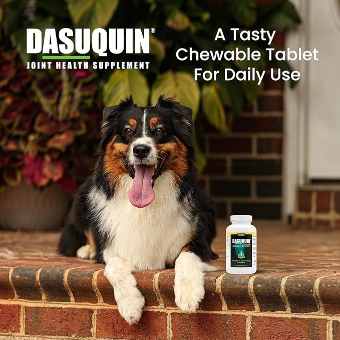 Nutramax Laboratories Dasuquin with MSM Chewables, Small/Medium Dog, 150 Count, White