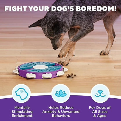 Outward Hound by Nina Ottosson Dog Twister – Interactive Treat Puzzle Enrichment Toy, Level 3 Advanced