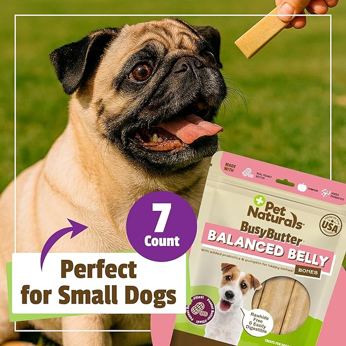 Pet Naturals BusyButter Balanced Belly Peanut Butter Bones, Rawhide-Free Chews for Small Dogs, Long Lasting Chew Bones, Probiotics & Pumpkin for Gut Health, 22 Count