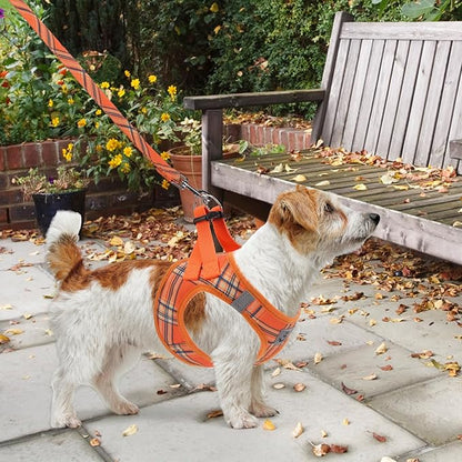 KOOLTAIL Thanksgiving Dog Harness for Small Medium Dogs,Dog Harness and Leash Set, Step in No Pull Soft Mesh Padded Adjustable and Reflective Pet Vest Puppy, Extra Harness for XS S Dogs Orange Plaid M
