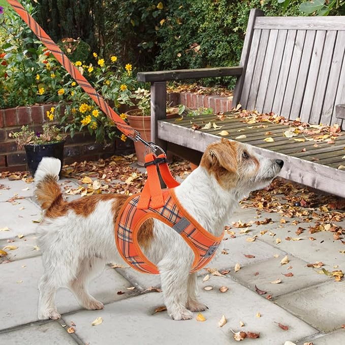 KOOLTAIL Thanksgiving Dog Harness for Small Medium Dogs,Dog Harness and Leash Set, Step in No Pull Soft Mesh Padded Adjustable and Reflective Pet Vest Puppy, Extra Harness for XS S Dogs Orange Plaid S