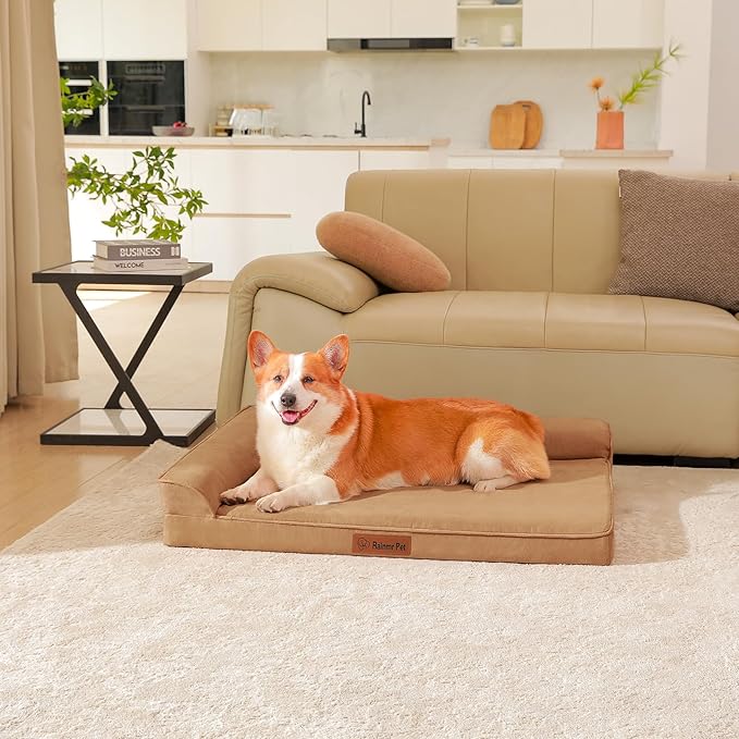 Rainmr Orthopedic Dog Bed Medium Size Dog, Memory Foam Dogs Bed for Medium Dogs, Washable and Removable Microsuede Cover, Waterproof Liner, Non-Skid Bottom, 35x23x6 Inches, Khaki