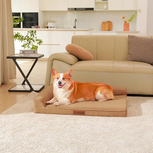 Rainmr Orthopedic Dog Bed Medium Size Dog, Memory Foam Dogs Bed for Medium Dogs, Washable and Removable Microsuede Cover, Waterproof Liner, Non-Skid Bottom, 35x23x6 Inches, Khaki