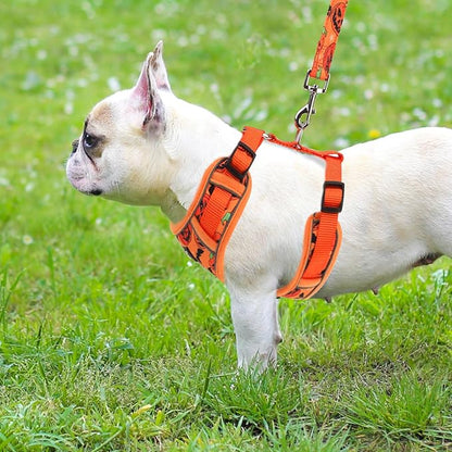 PUPTECK Halloween Small Dog Harness and Leash Set, No Pull Adjustable Puppy Cat Harness, Reflective Soft Mesh Pet Vest Small Sized, Pumpkin, S