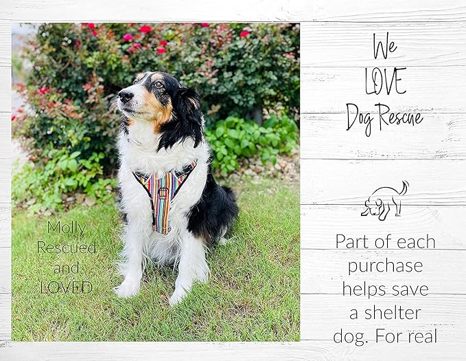 Lucky Love Dog No Pull Dog Harness, Adjustable and Easy to Walk, Cute Patterned Harness for Medium Male & Female Dogs - Primrose, Medium