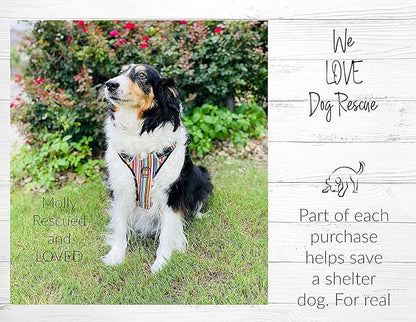 Lucky Love Dog No Pull Dog Harness, Adjustable and Easy to Walk, Cute Patterned Harness for Medium Male & Female Dogs - Primrose, Medium