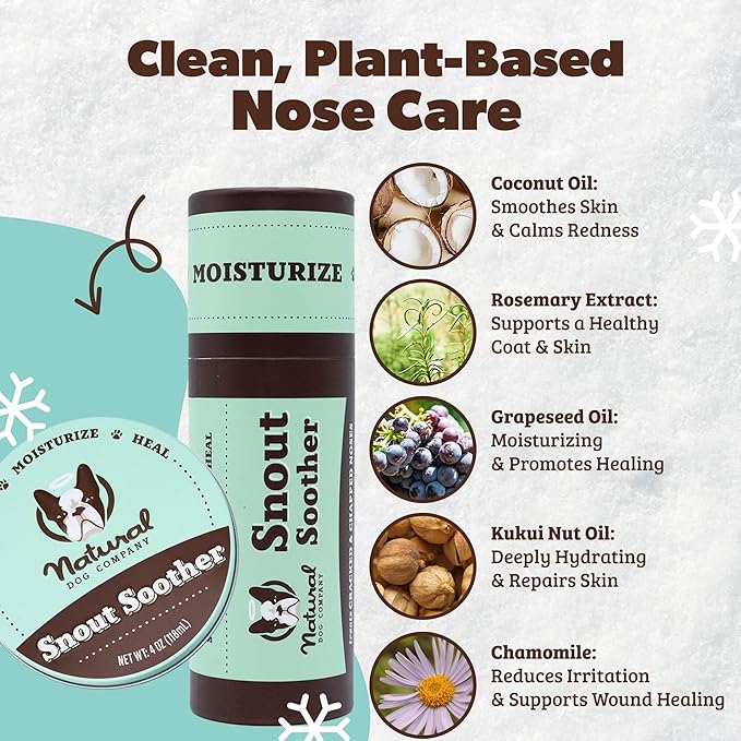 Natural Dog Company Snout Soother Balm – Dog Nose Balm for Dry Cracked Snouts, Moisturizing Winter Nose Care with Coconut Oil & Shea Butter, Lick Safe Dog Snout Balm for All Breeds, 1 oz Tin
