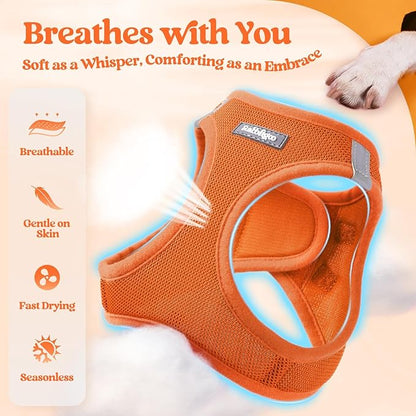 rabbitgoo Dog Harness Small Sized and Leash Set, Step in Soft Light Puppy Vest, Breathable Mesh Pet Harness, Reflective for Safe Easy Walking, Orange XXXS