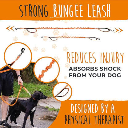 Mighty Paw Hands Free Dog Leash | Bungee Waist Leash for Dog Walking. Pet Running Hands Free Tether for Large, Medium & Small Breeds. Pet Waist Belt (36" - 48") Up to 150 lbs - Orange