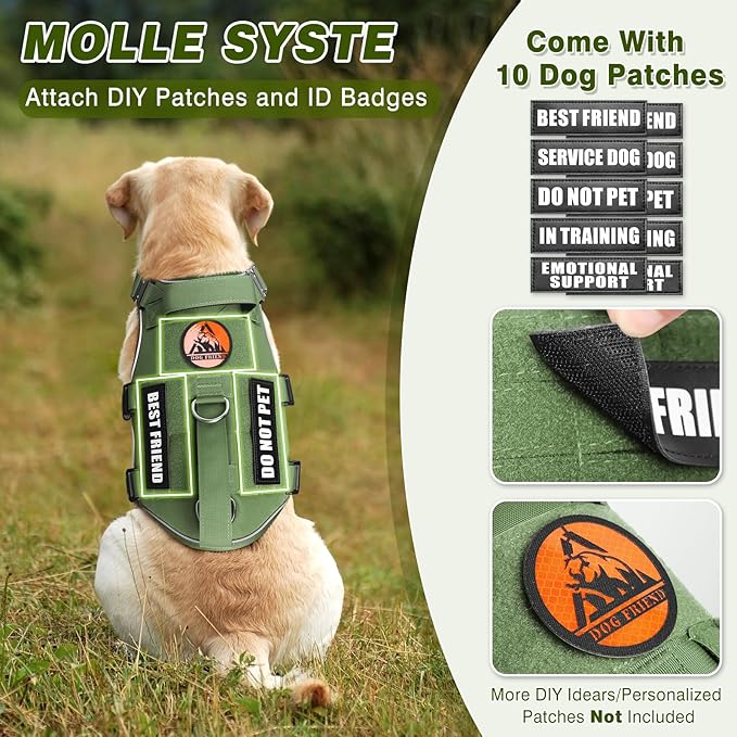 Service Dog in Training Vest and Leash Set with 10 Patches,Heavy Duty Tactical Dog Harness with Metal Buckles for Large Dogs,No Pull Easy Walking for Training Working Hiking,Green L