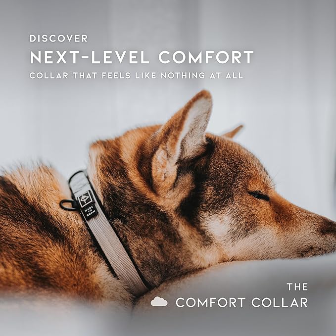 MADE TO ROAM Comfort Collar - Adjustable Nylon Dog Collar with Soft Comfortable Padding, Light Aviation Aluminum Metal Buckle for Small, Medium and Large Dogs (Virginia Mountains, Size 0)