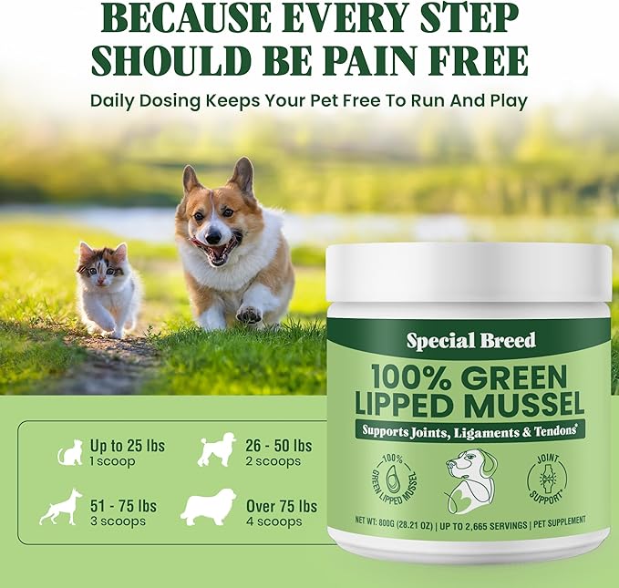 Green Lipped Mussel Powder for Dogs & Cats - 100% New Zealand Green Lipped Mussels - Natural Hip & Joint Supplement for Joints, Tendons, Ligaments, Muscles - 800 Grams (Pack of 2)