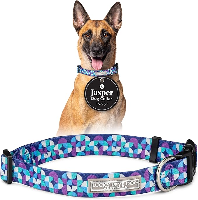 Lucky Love Dog - Adjustable Dog Collar with Easy Click Buckle for Small to Large Dogs, Durable, & Comfortable for Male & Female Dogs, Pet Collar for Puppies & Adult Ones - Jasper, Large