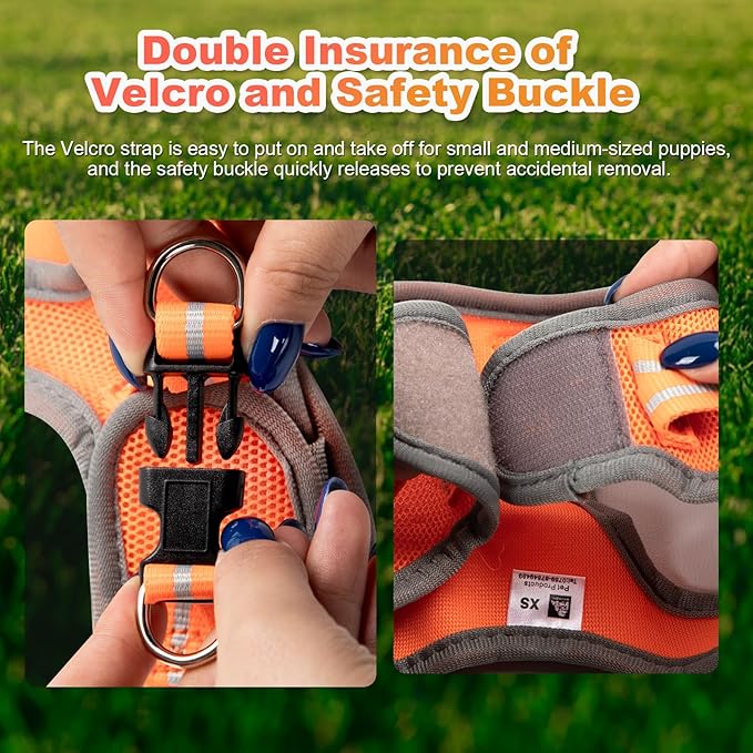 Dog Harness Medium Sized Dogs, Puppy Harness and Leash Set for Training, Running, Walking, Suitable for Small and Medium Dog Vest, Orange, XS