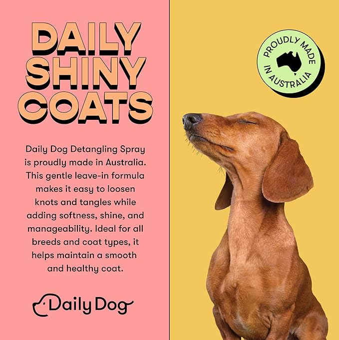 Detangling Spray Dematting, Detangler Spray For Dogs - 200ml (bundle of 2)