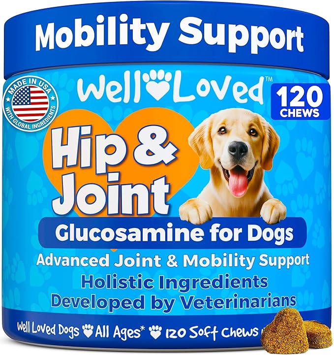 Well Loved Glucosamine for Dogs - Joint Supplement for Dogs, Made in USA, Vet Developed, Glucosamine Chondroitin, Hip and Joint Chews with MSM, Large Breed, Pain Relief, 120 Chews