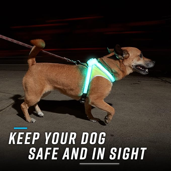 Noxgear LightHound (Small) + High-Visibility Dog Leash – Illuminated and Reflective Harness for Dogs Including Multicolored LED Fiber Optics (USB Rechargeable, Adjustable, Lightweight, Rainproof)