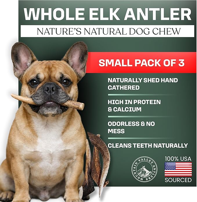 Mountain Valley Elk Antlers for Dogs - 100% Natural & Organic Chew for Aggressive Chewers, No Odor, No Mess, Long Lasting - Wild-Foraged Naturally Shed Antlers in USA - Grade A, Whole Small (3 Pack)
