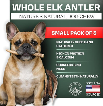 Mountain Valley Elk Antlers for Dogs - 100% Natural & Organic Chew for Aggressive Chewers, No Odor, No Mess, Long Lasting - Wild-Foraged Naturally Shed Antlers in USA - Grade A, Whole Small (3 Pack)