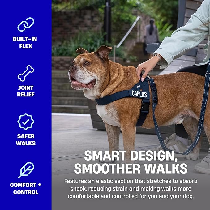 DF Co. Bungee Dog Leash | Strain Free & Shock Resistant for Control | Neoprene Padded Handle, Heavy-Duty Carabiner Clip, and D-Ring | Hi-Vis Orange, Size Small