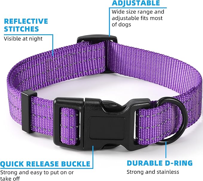 Mile High Life Dog Collar | Nylon Reflective Dog Collars | Light Weight Puppy Collars | Purple Dog Collars for Small Dogs (Solid Purple, X-Small)