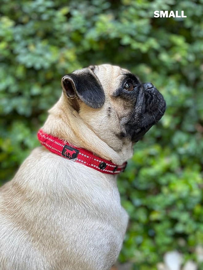 Tuff Pupper Heavy Duty Dog Collar with Handle | Ballistic Nylon Heavy Duty Collar | Padded Reflective Dog Collar with Adjustable Stainless Steel Hardware | Convenient Sizing for All Breeds