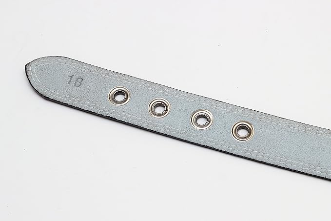 Premium Leather Collars with Stainless Steel Buckles (21"-24", Chocolate)