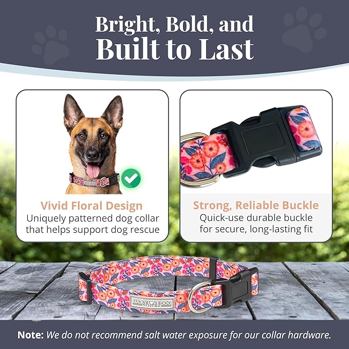 Lucky Love Dog - Adjustable Dog Collar with Easy Click Buckle for Large Ones, Durable, & Comfortable for Male & Female Dogs, Pet Collar for Puppies & Adult Dogs - Rosie, Large